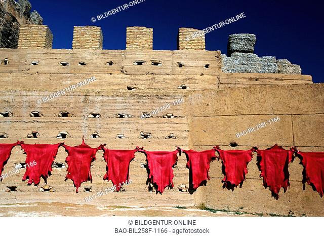 Coloured leather is dried in the air with a Lederfärberei with the old city wall about the Madina or Old Town by fez in the north of Morocco in North Africa
