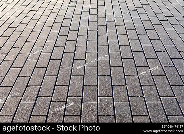 Brick pavement at cold autumn day and sunlight
