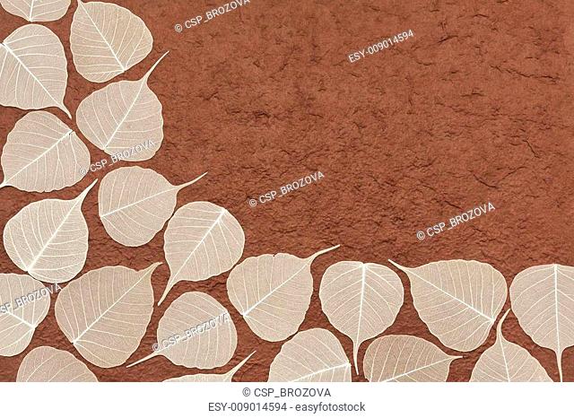 Skeletal leaves over brown handmade paper