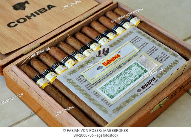 Cohiba cigars with certificate of authenticity in a tobacco business in Havana, Cuba, Caribbean