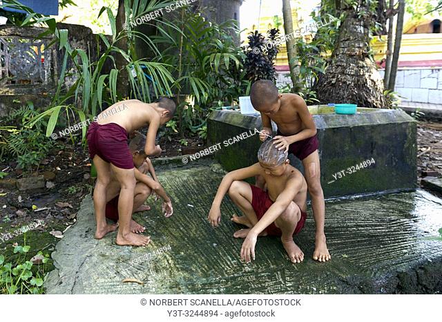 Myanmar (formerly Burma). Mon State. Mawlamyine (Moulmein). Gaungse Kyun, Shampoo island. Young monks shaving their heads