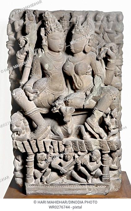 Uma Maheshwar Ravnanugrah 11th century AD Shaiv cult , Kalchurian period found at Jabalpur , Madhya Pradesh , India
