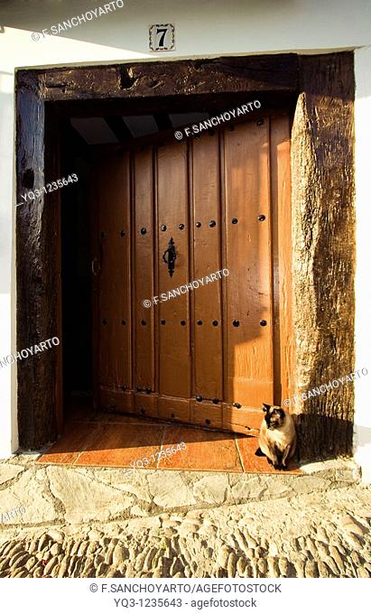 Cat by door in old town, Castro Urdiales, Cantabria, Spain