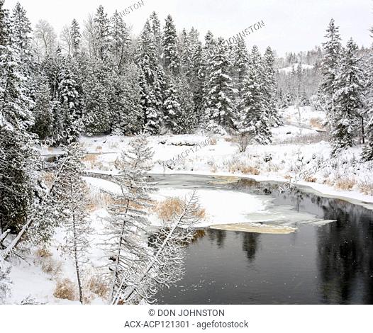 Junction Creek in early winter with fresh snow