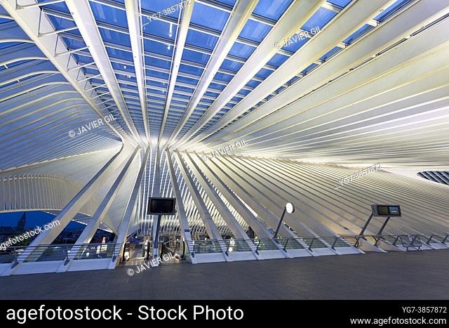 Liège-Guillemins train station by architect Santiago Calatrava, Liege, Belgium