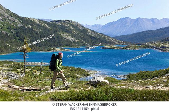 Young woman hiking, backpacking, hiker with backpack, historic Chilkoot Pass, Chilkoot Trail, Deep Lake behind, Yukon Territory, British Columbia, B