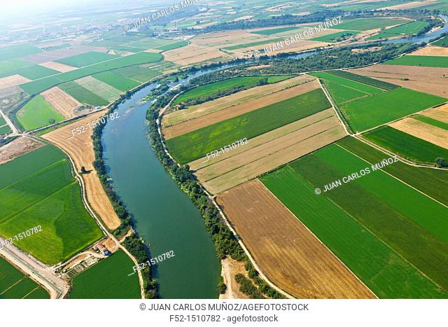 Ebro river Agricultural landscape  Zaragoza Province, Aragon, Spain, Europe