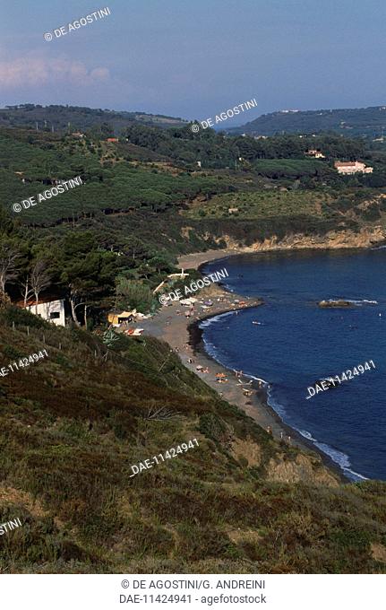 The beach in the Gulf Stella, Elba island, Tuscan Archipelago National Park, Tuscany, Italy
