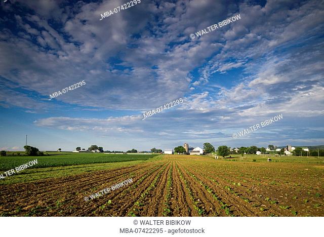 USA, Pennsylvania, Pennsylvania Dutch Country, Strasburg, farm