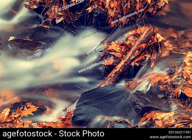Long exposure of a river in the forest in autumn