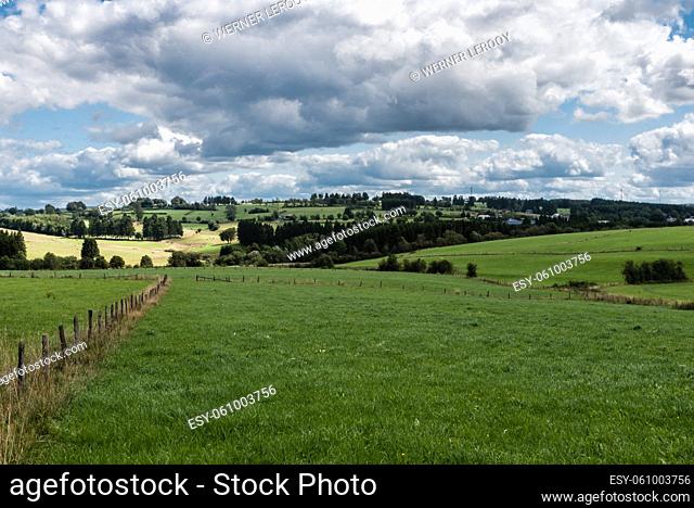 Nature landscapes with green hills at woods during summer at the East Belgian Countryside around Bullingen, Belgium