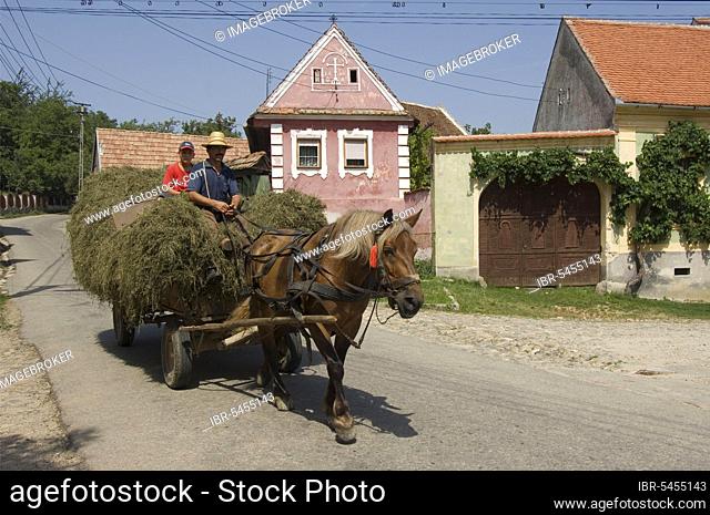 Farmer with horse-drawn cart, Transylvania, Sibiel, Transylvania, Romania, Europe