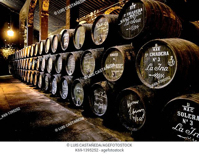 Domecq Sherry Wine Cave  Jerez de la Frontera  Cadiz  Spain