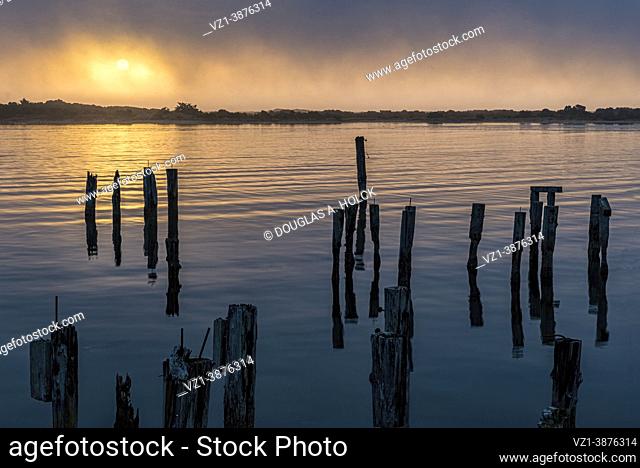 Old Dock Pilings on Coquille River Bandon, OR