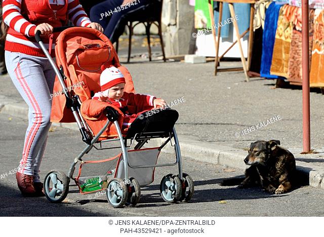 A mother pushes her stroller past a stray dog in a street in Pitesti, Romania, 21 October 2013. Numerous animal protection organisations