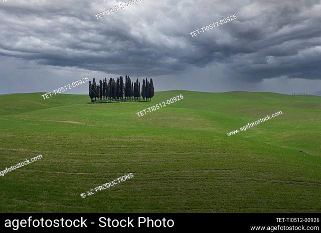Italy, Tuscany, Val D'Orcia, Cypresses on green hill under storm clouds