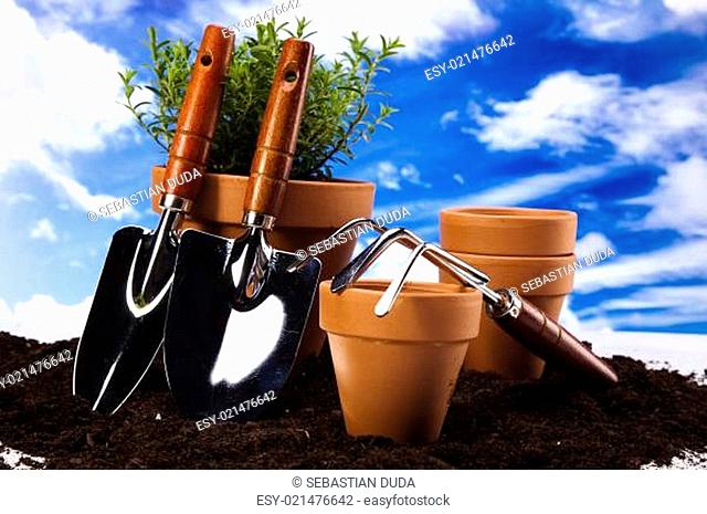 Flowers and garden tools