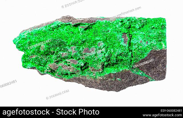 closeup of sample of natural mineral from geological collection - crystals of Uvarovite (green garnet) on rock isolated on white background
