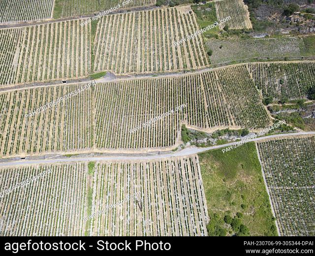 06 July 2023, Rhineland-Palatinate, Bacharach: Vineyards near Bacharach in Rhineland-Palatinate (aerial view with a drone)