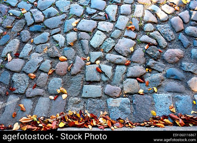 cobbled pavement covered with autumn leaves