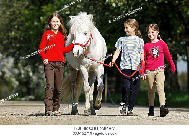 three girls with Icelandic horse