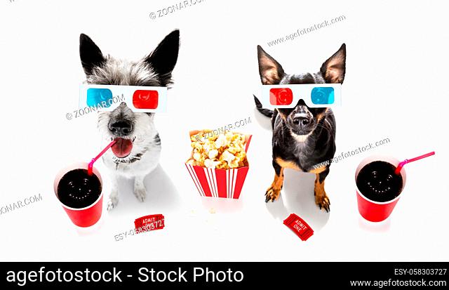 dog going to the movies with soda and glasses and popcorn and tickets, isolated on white background and 3d glases