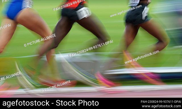 23 August 2023, Hungary, Budapest: Athletics: World Championship, 3000 m steeplechase, preliminary heat, women, at the National Athletics Center
