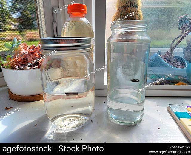 science experiment water in glass jars evaporation near window