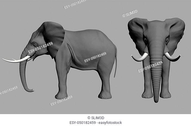 Vector illustration of an elephant polygonal side and front. 3D