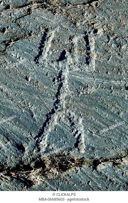 Petroglyphs in the Natural Reserve in Grosio, Valtlellina, Lomardy Italy Europe
