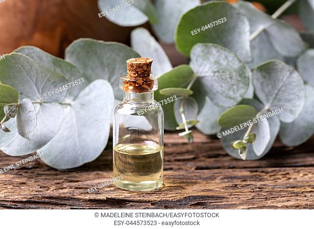 A bottle of essential oil with fresh eucalyptus twigs
