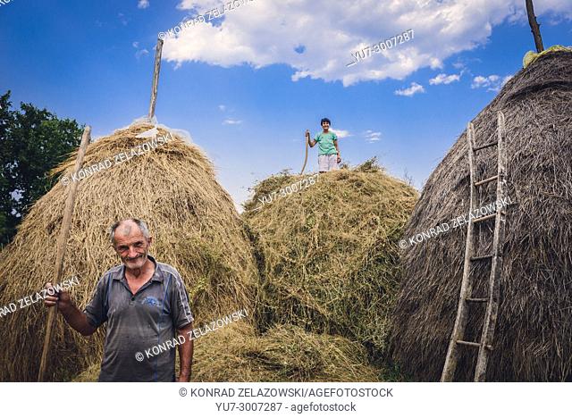 Couple of farmers stacks hay in small village between Guca town and Vuckovica village in Lucani municipality, Moravica District of Serbia
