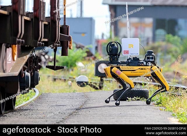 20 September 2023, Hesse, Bischofsheim: Robot dog ""Spot"" for digital maintenance of freight cars is presented at a press event at the freight station