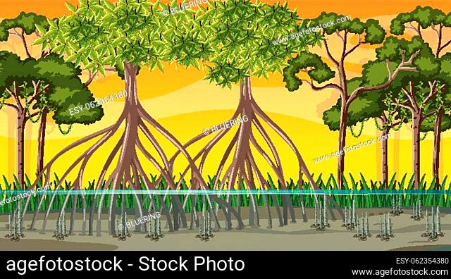 Mangrove cartoon tree Stock Photos and Images | agefotostock
