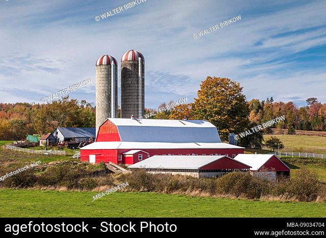 Canada, Nova Scotia, Beaver Brook, farm in autumn