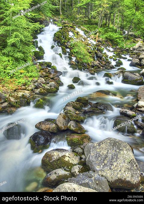 Uelhs deth Joeu waterfalls at Artiga de Lin site. Aran Valley during summer time. Lleida province, Catalonia, Spain