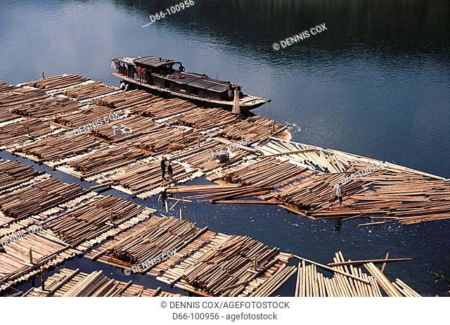 Logs on river awaiting shipment to urban markets, Guizhou. China
