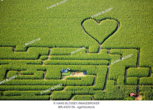 Labyrinth with a heart in the cornfield, corn maze, green heart, heart shape, heart shaped, Herten, Ruhr district, North Rhine-Westphalia, Germany