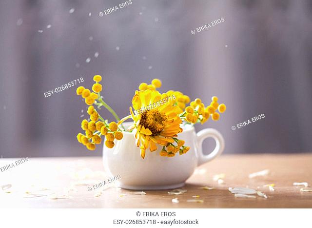 Beautiful yellow aster flowers in ceramic pot under falling petals