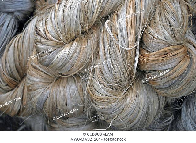 Jute, the golden fiber of Bangladesh This year’s extraction of the fiber was difficult because of delayed rain The price of the fiber depends on its color for...