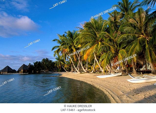 Beach bungalows, Manihi Pearl Beach, Manihi Atoll, Tuamotus, French Polynesia, South Pacific