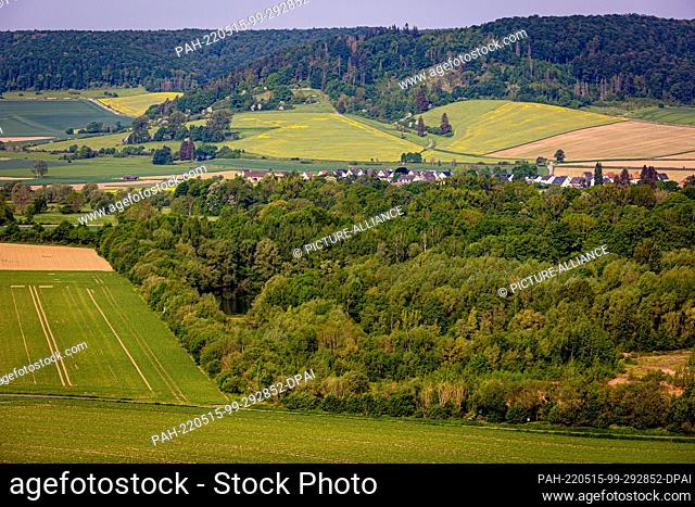 14 May 2022, Lower Saxony, Fürstenberg: Forests lie between fields in the district of Holzminden. Forestry associations and environmentalists disagree about the...