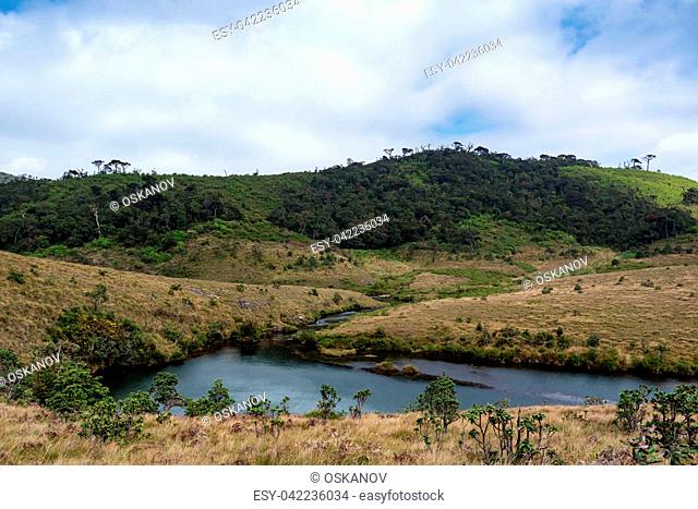 Beautiful landscape of river flowing through montane grassland in Horton Plains National Park, Sri Lanka