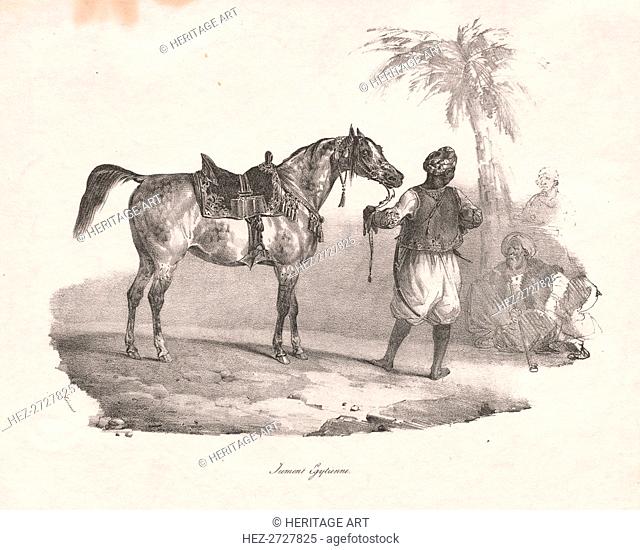 Egyptian Mare, 1822. Creator: Théodore Géricault (French, 1791-1824)