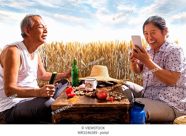 Elderly couple in the wheat field