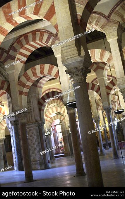 Arches and columns, Cathedral of our Lady of the Assumption Great Mosque of Córdoba, Cordoba, Andalusia, Spain, Europe