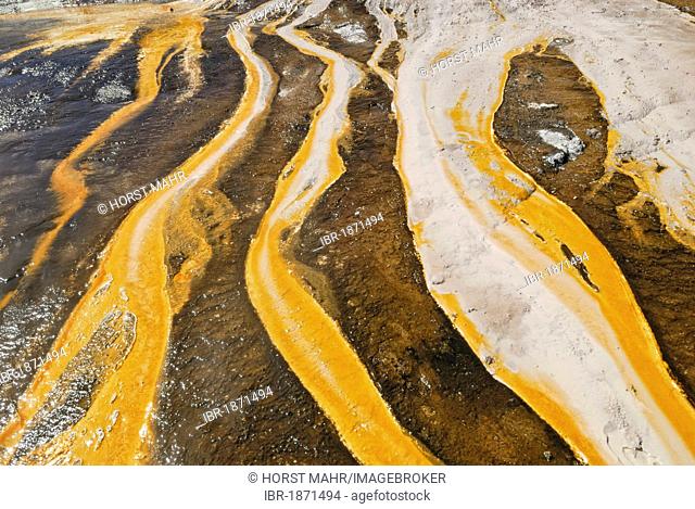 Sinter deposits with yellow hot-water algae, Rainbow and Cascade Terrace, Orakei Korako Cave and Thermal Park, Hidden Valley, Taupo, Rotorua, North Island