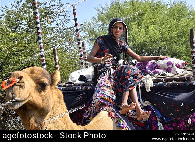 India, Madhya Pradesh, Bhopal region, Young Rabari nomad
