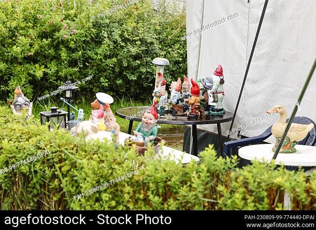 08 August 2023, Schleswig-Holstein, Bornhöved: Garden gnomes stand on a table in front of a tent. Photo: Frank Molter/dpa
