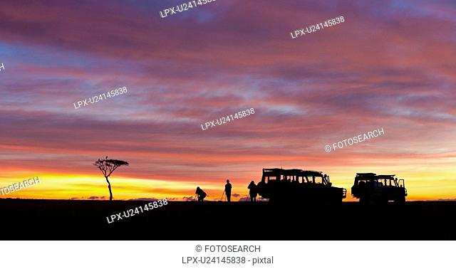 Sunrise silhouettes on the Mara: panorama view of acacia tree with Marabou stork perching, silhouetted against pink orange sky